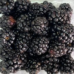 Caja con moras