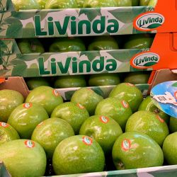 Cajas con manzanas verdes