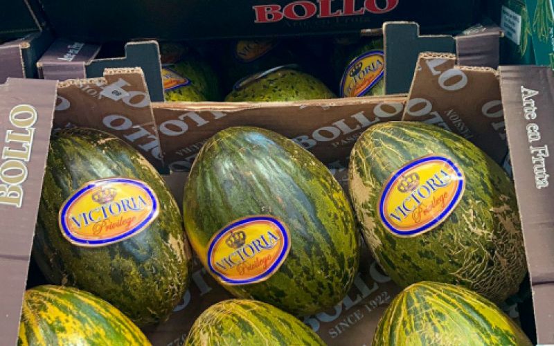 Cajas con melones